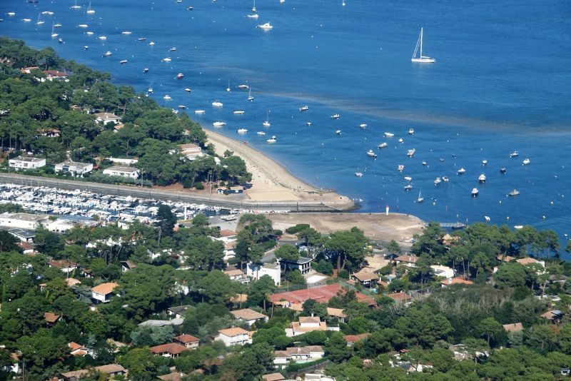 cap-ferret-83