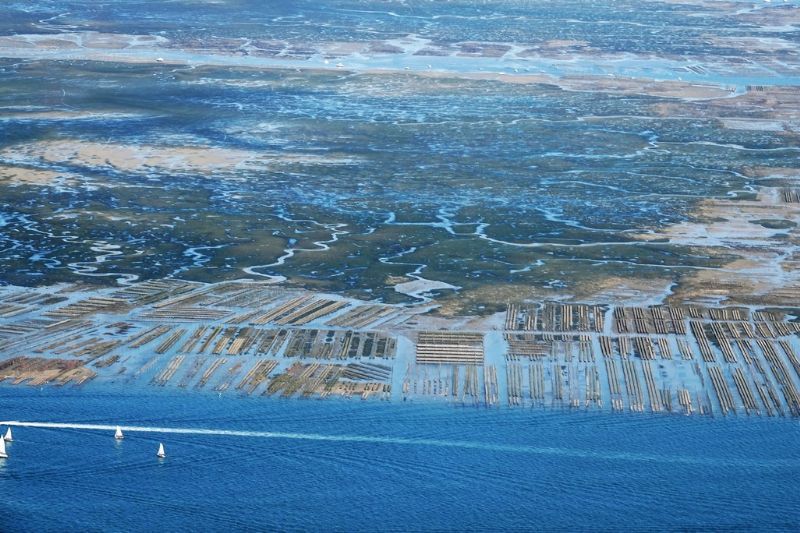 ile-aux-oiseaux-84