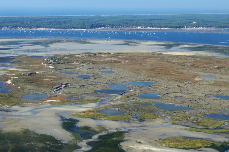 ile-aux-oiseaux-88