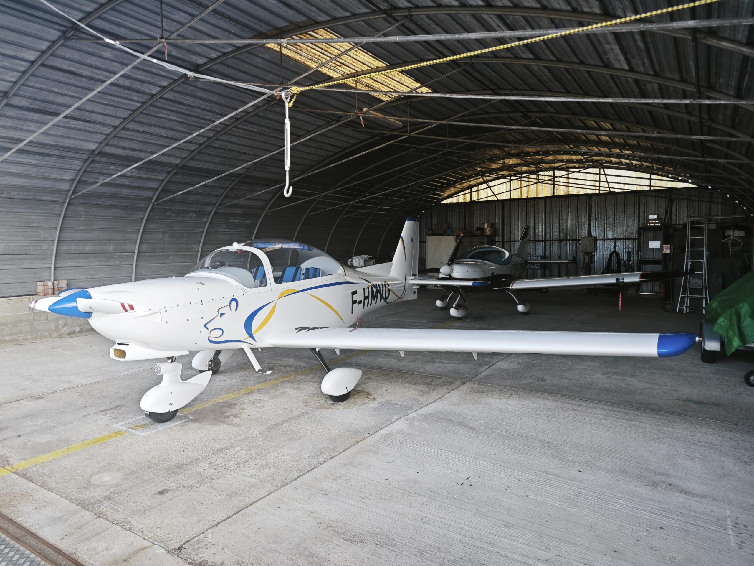 APM 30 Lion