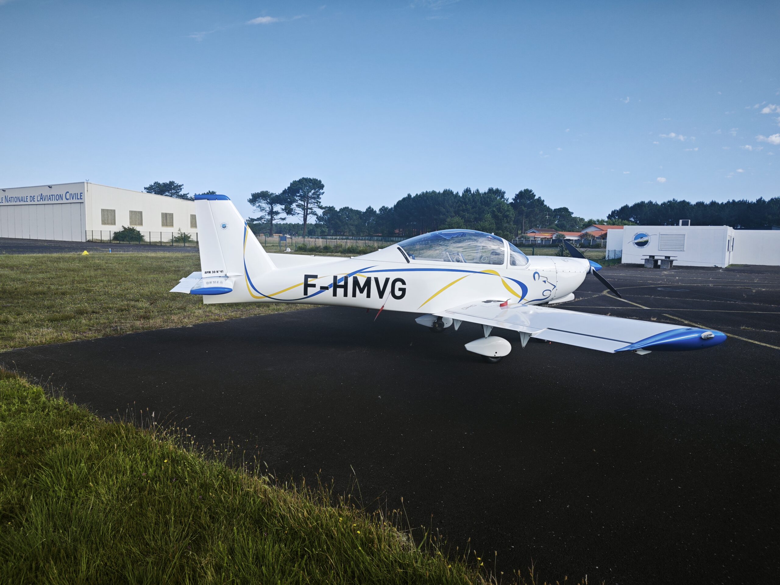 APM 30 Lion